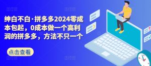 拼多多2024零成本包起,0成本做一个高利润的拼多多,方法不只一个-晟哥学社资源库