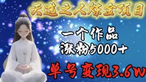 天选之人炼金项目，一个作品涨粉5000+，单号变现3.6w【揭秘】-晟哥学社资源库