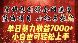 蓝海项目!黑科技引爆全网流量小红书拉新，单日暴力收益7000+，小白也能轻松上手【揭秘】-晟哥学社资源库