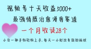 十天收益5000+，多平台捞金，视频号情感治愈漫剪，一个月收徒28个，小白一部手机轻松上手【揭秘】-晟哥学社资源库