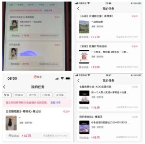 2024年3月最新，快手磁力聚星全流程实操教学，8台手机日均收益稳定100~200元【揭秘】-晟哥学社资源库