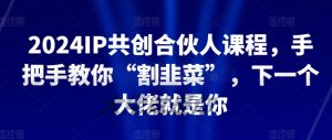 2024IP共创合伙人课程，手把手教你“割韭菜”，下一个大佬就是你-晟哥学社资源库