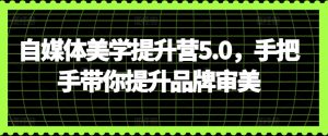 自媒体美学提升营5.0,手把手带你提升品牌审美-晟哥学社资源库