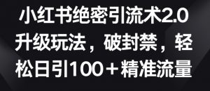 小红书绝密引流术2.0升级玩法,破封禁,轻松日引100+精准流量【揭秘】-晟哥学社资源库