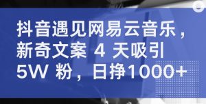 抖音遇见网易云音乐，新奇文案 4 天吸引 5W 粉，日挣1000+【揭秘】-晟哥学社资源库