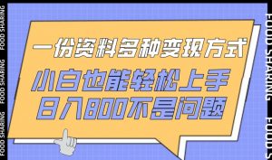 一份资料多种变现方式,小白也能轻松上手,日入800不是问题【揭秘】-晟哥学社资源库