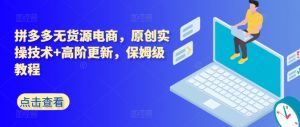 拼多多无货源电商,原创实操技术+高阶更新,保姆级教程-晟哥学社资源库