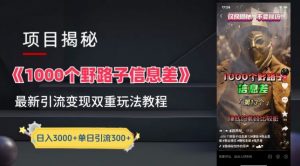 一千个野路子信息差最新玩法教程-变现+引流的玩法具体拆解【揭秘】-晟哥学社资源库