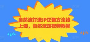 自然流打造IP正确方法线上课,自然流短视频教程-晟哥学社资源库