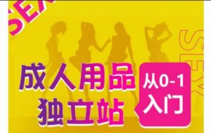 成人用品独立站从0-1入门，成品独立站运营全流程教学，七大好卖成品独立站推荐-晟哥学社资源库