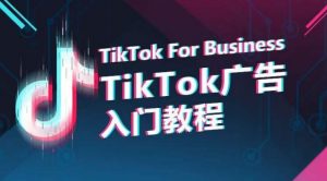 TikTok广告入门教程，从0到1掌握TikTok投放的全流程-晟哥学社资源库