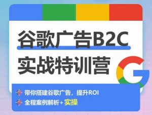 谷歌广告B2C实战特训营，500+谷歌账户总结经验，实战演示如何从0-1搭建广告账户-晟哥学社资源库