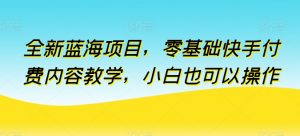 全新蓝海项目，零基础快手付费内容教学，小白也可以操作【揭秘】-晟哥学社资源库