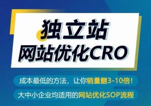 独立站网站优化CRO,成本最低的方法,让你销量翻3-10倍-晟哥学社资源库
