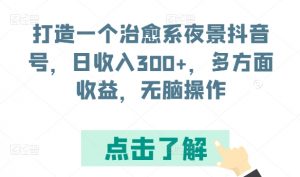 打造一个治愈系夜景抖音号，日收入300+，多方面收益，无脑操作【揭秘】-晟哥学社资源库