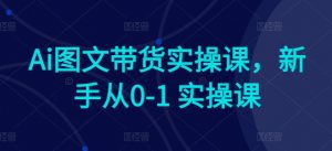 Ai图文带货实操课,新手从0-1 实操课-晟哥学社资源库