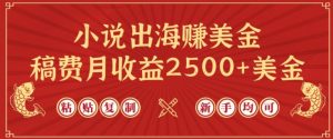 小说出海赚美金,稿费月收益2500+美金,仅需chatgpt粘贴复制,新手也能玩转【揭秘】-晟哥学社资源库