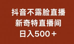 不露脸挂机直播,新奇特直播间,日入500+【揭秘】-晟哥学社资源库