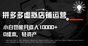 拼多多虚拟店铺运营小白也能月收入10000+【揭秘】-晟哥学社资源库