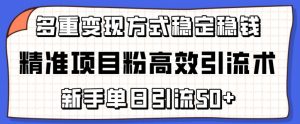精准项目粉高效引流术，新手单日引流50+，多重变现方式稳定赚钱【揭秘】-晟哥学社资源库