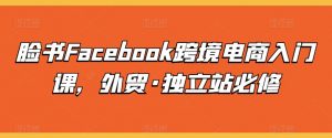 脸书Facebook跨境电商入门课，外贸·独立站必修-晟哥学社资源库