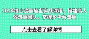 2024线上流量操盘实战课程，搭建高人效流量团队，掌握多平台流量-晟哥学社资源库
