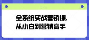 全系统实战营销课,从小白到营销高手-晟哥学社资源库