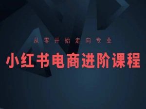 从零开始走向专业,小红书电商进阶课程-晟哥学社资源库