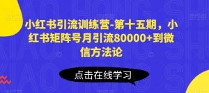 小红书引流训练营-第十五期,小红书矩阵号月引流80000+到微信方法论-晟哥学社资源库