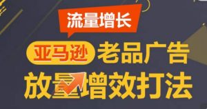 亚马逊流量增长-老品广告放量增效打法,循序渐进,打造更多TOP listing-晟哥学社资源库