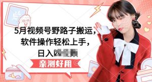 5月视频号野路子搬运,软件操作轻松上手,日入三位数【揭秘】-晟哥学社资源库