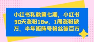 小红书私教第七期，小红书90天涨粉18w，1周涨粉破万，半年矩阵号粉丝破百万-晟哥学社资源库
