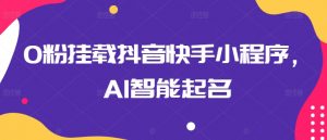 0粉挂载抖音快手小程序，AI智能起名-晟哥学社资源库