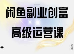 闲鱼电商运营高级课程，一部手机学会闲鱼开店赚钱-晟哥学社资源库