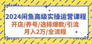 2024闲鱼高级实操运营课程:开店/养号/选择爆款/引流/月入2万/全流程-晟哥学社资源库