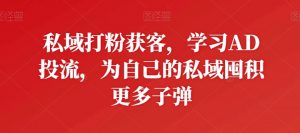 私域打粉获客，学习AD投流，为自己的私域囤积更多子弹-晟哥学社资源库