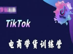 TikTok电商带货训练营，跟随时代潮流，跨境掘金-晟哥学社资源库