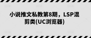 小说推文私教第8期，LSP混剪类(UC浏览器)-晟哥学社资源库