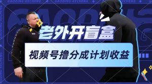 老外开盲盒视频，撸视频号分成计划收益，每天只需一小时，新手小白轻松上手【揭秘】-晟哥学社资源库