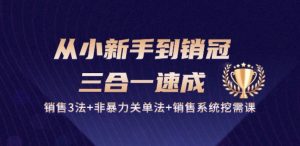 从小新手到销冠 三合一速成:销售3法+非暴力关单法+销售系统挖需课 (27节)-晟哥学社资源库