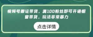 视频号搬运带货,满100粉丝即可开通橱窗带货,玩法非常暴力【揭秘】-晟哥学社资源库