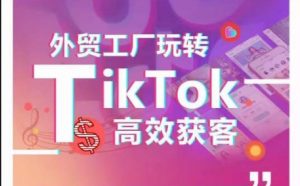 外贸工厂玩转TikTok高效获客,多种引流方式与账号定位技巧,拆解爆款短视频打造成功案例-晟哥学社资源库