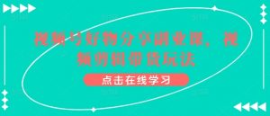 视频号好物分享副业课,视频剪辑带货玩法-晟哥学社资源库