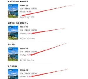 磁力聚星游戏副业陪跑训练营1.0，长期稳定项目，有人一周干了1K+-晟哥学社资源库