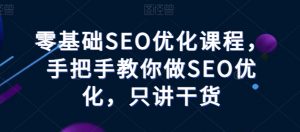 零基础SEO优化课程,手把手教你做SEO优化,只讲干货-晟哥学社资源库