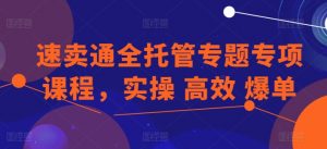 速卖通全托管专题专项课程，实操 高效 爆单-晟哥学社资源库