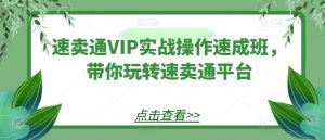 速卖通VIP实战操作速成班，带你玩转速卖通平台-晟哥学社资源库