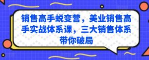 销售高手蜕变营，美业销售高手实战体系课，三大销售体系带你破局-晟哥学社资源库