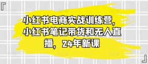 小红书电商实战训练营，小红书笔记带货和无人直播，24年新课-晟哥学社资源库