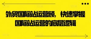 外贸国际站运营顾问，快速掌握国际站运营的底层逻辑-晟哥学社资源库